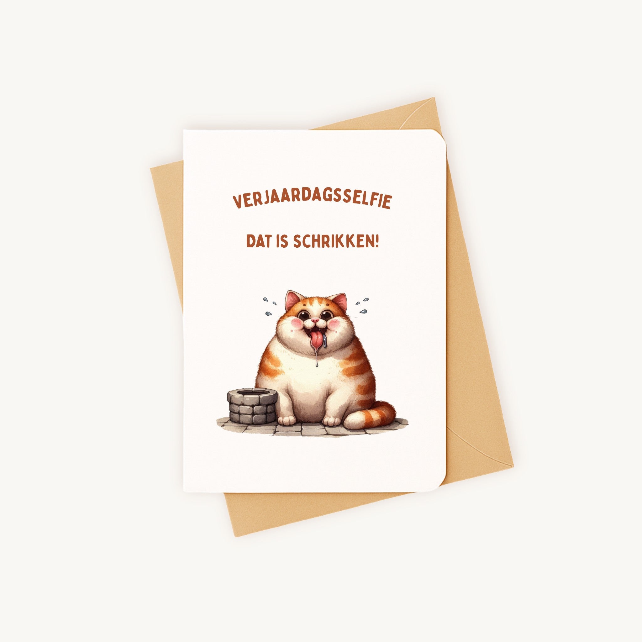 Verjaardagskaart dikke kat met kraft envelop