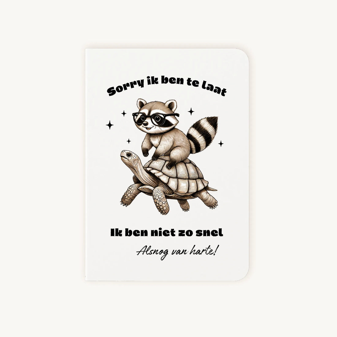 Staande dubbelgevouwen verjaardagskaart met wasbeer op een schildpad en tekst ‘Sorry ik ben te laat – Ik ben niet zo snel – Alsnog gefeliciteerd’, flatlay op lichte achtergrond.