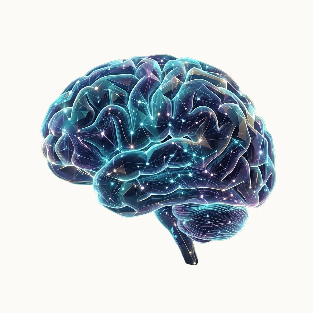 Abstracte illustratie van een menselijk brein die de wetenschappelijke basis en neuroplasticiteit achter affirmaties symboliseert.
